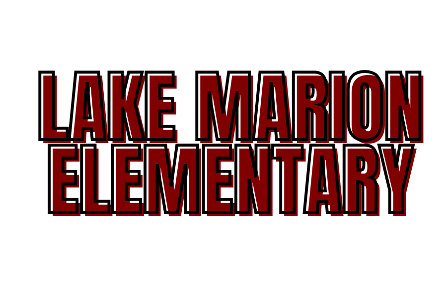 Lake Marion vinyl transfer sweatshirts (2 options available)