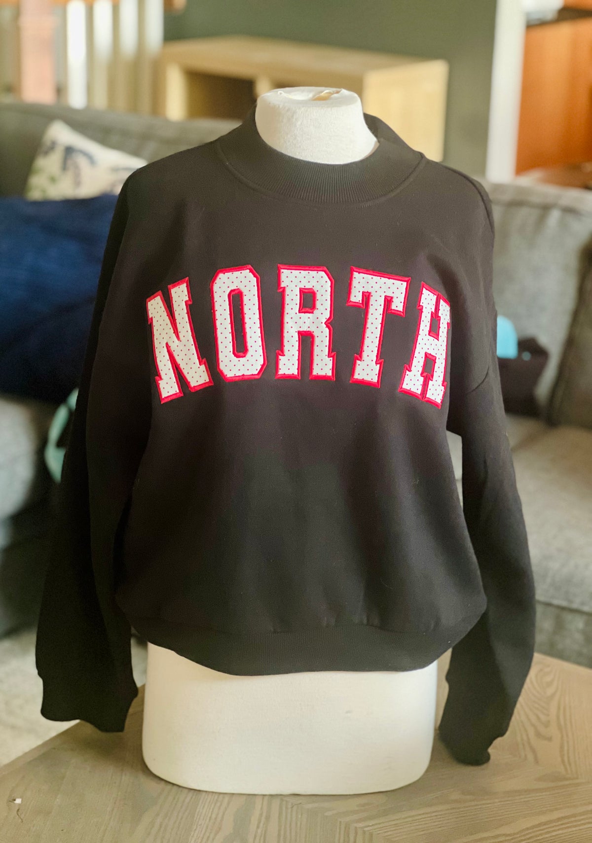 North applique mock neck sweatshirt