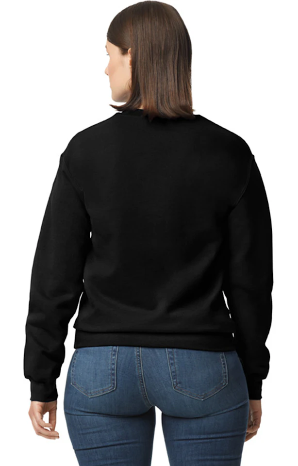 NORTH chenille patch letter sweatshirt