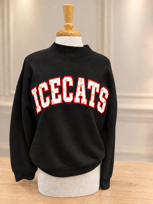 Icecats applique mock neck sweatshirt